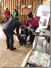 FOTO censo canino zona urbana