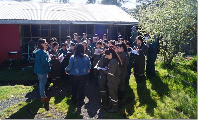 FOTO visita refugio canino 4