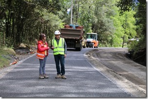 ruta caburgua-huepil