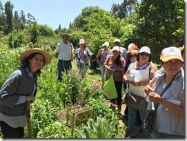 FOTO emprendimiento agroecológico 2