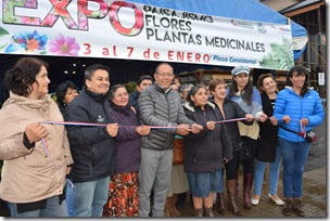 Expo Paisajismo Villarrica 2018