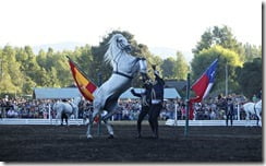 FOTO caballos andaluces 1