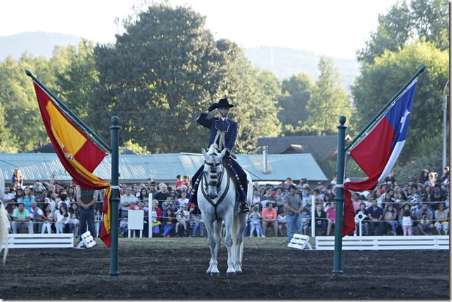 FOTO caballos andaluces 3