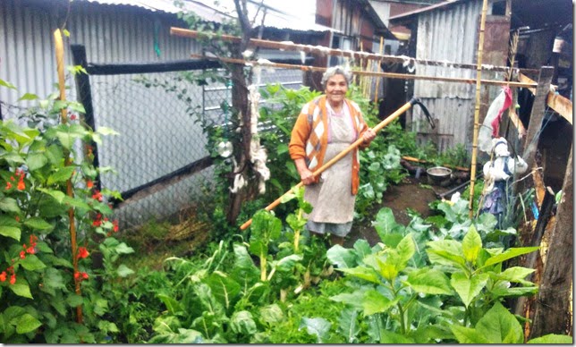 Interesante Programa se ejecutará en Villarrica (1)