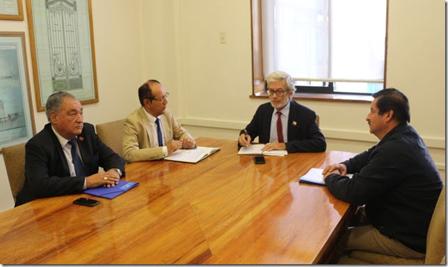 FOTO alcalde de pucón en santiago 4