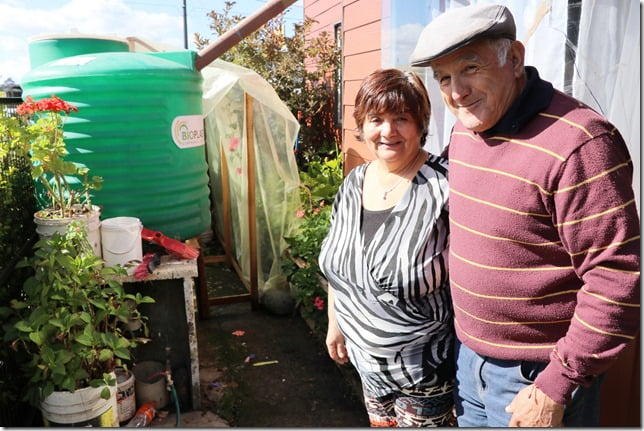 Municipalidad de Villarrica innova con Huertos Urbanos (2)