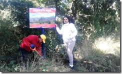 Municipalidad de Villarrica realiza operativo medioambiental (1) (1)