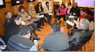 “Jornada de capacitación acerca de la situación actual del Lago Villarrica” (3)