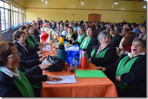 Unión Comunal de Adultos Mayores de Villarrica celebró un nuevo aniversario (4)