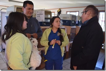 Operativos  esterilizacion