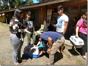 FOTO segundo operativo esterilizaciones 2