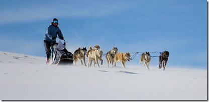 10° Villarrica Dryland Mushing