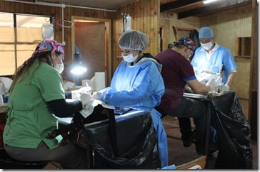 FOTO esterilizaciones 1