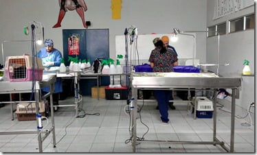 Más de dos mil seiscientas mascotas esterilizadas en la Villarrica