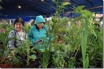 Expo Paisajismo Estival 2019