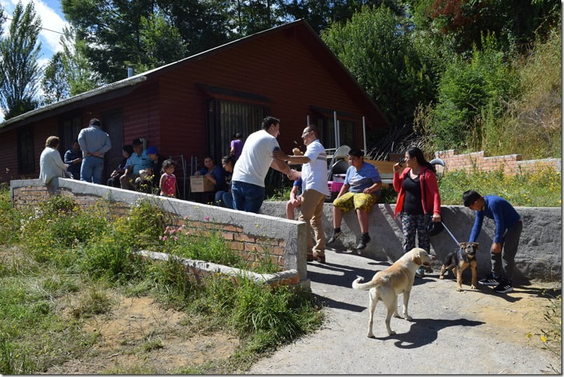 Cinco mil mascotas y animales de compañía fueron esterilizados en la comuna lacustre (2) (1)