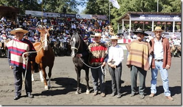 FOTO equinoterapia 2