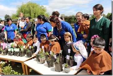 NOTA DE PRENSA JARDINES INICIO AÑO 2019 (2)