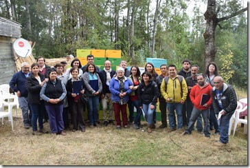 Vecinos de Villarrica finalizan curso apícola con entrega de equipamiento  para iniciar su producción (1)