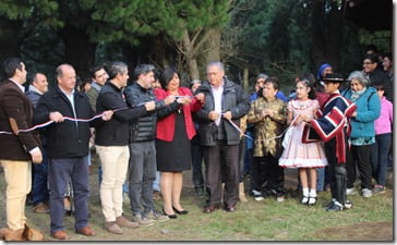 inauguración Quelhue-luminarias (2)