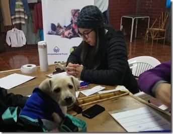 tenencia responsable de mascotas-Candelaraia (1)