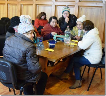 Adultos Mayores de Villarrica se capacitan en cuidado del Medioambiente (2)