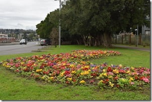 Jardines de la comuna de Villarrica una eterna primavera (2)