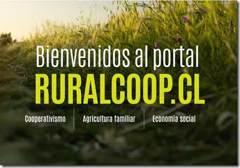 banner-rural