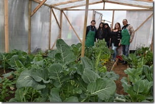 Huertos Urbanos un incentivo para el cultivo familiar (2)