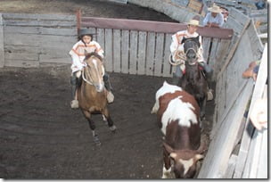 Rodeo de Huife (1)