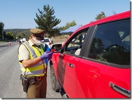 continúan controles Sanitarios en Pucón (1)