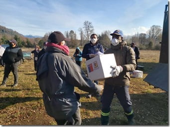 registro de entregas de cajas de alimentosm en Pucón (1)