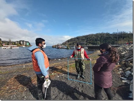 Lago Villarrica investigación