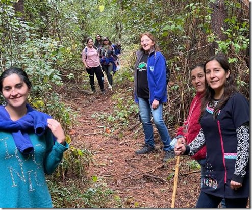 Comunidad escolar recupera Sendero del  Cerro Agua Santa (2)