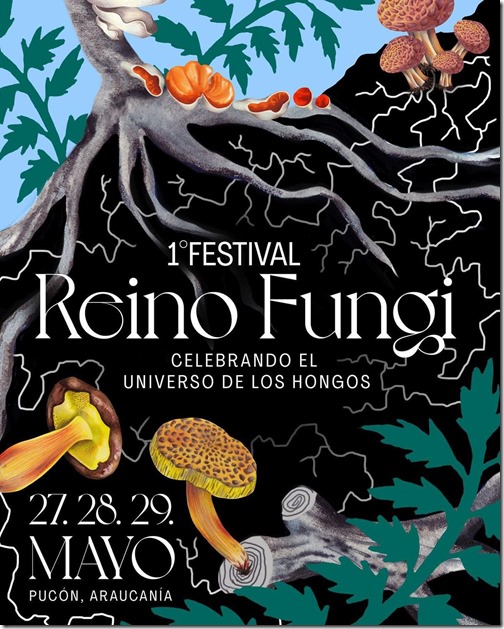 AFICHE FUNGI