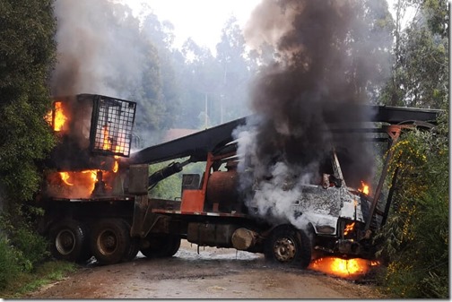 Nuevo ataque incendiario en sector de Contulmo