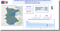 Vacunas influenza deficit 1