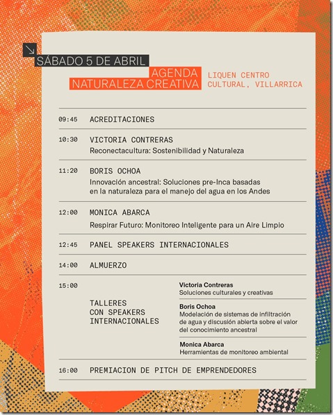 TEDxPucon (2)