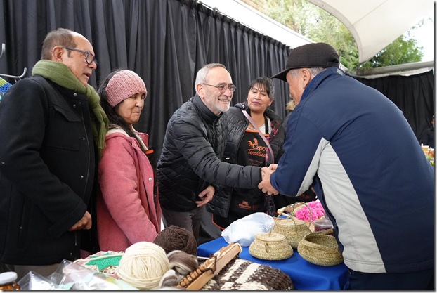 Gobernador Saffirio y alcaldes de Pucón y Villarrica impulsan iniciativas para el desarrollo de la zona lacustre 5