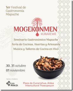 Afiche Mogekonmen v15