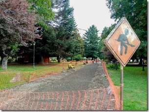 photo_5033276289221069626_y