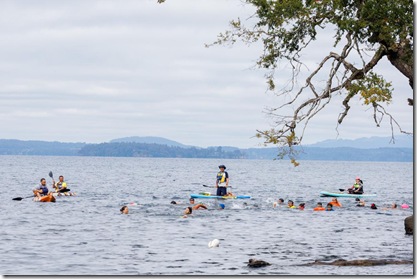 nataci&oacute;n Lican Ray