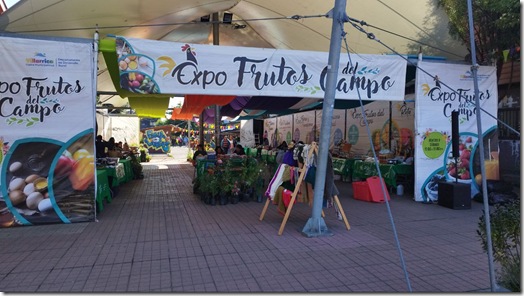 FRUTOS DEL CAMPO